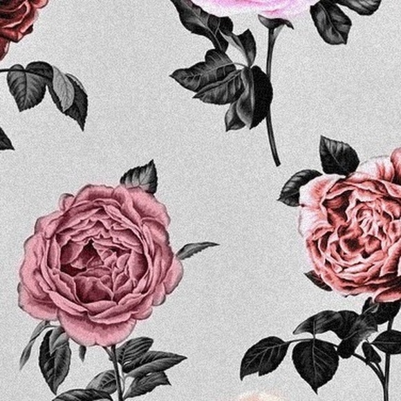 Meet your Posher, Anais - Picture 1 of 1